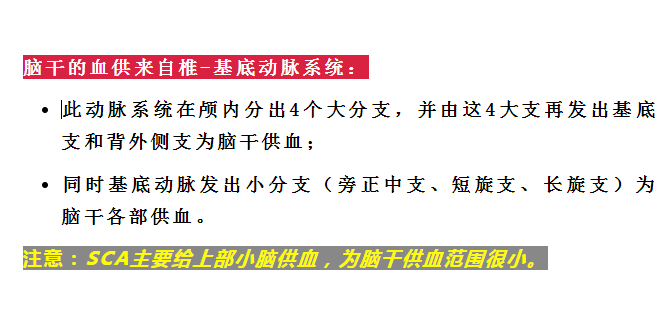 影像PPT - 重要神经结构的血供示意图-20 影像PPT - 重要神经结构的血供示意图-20