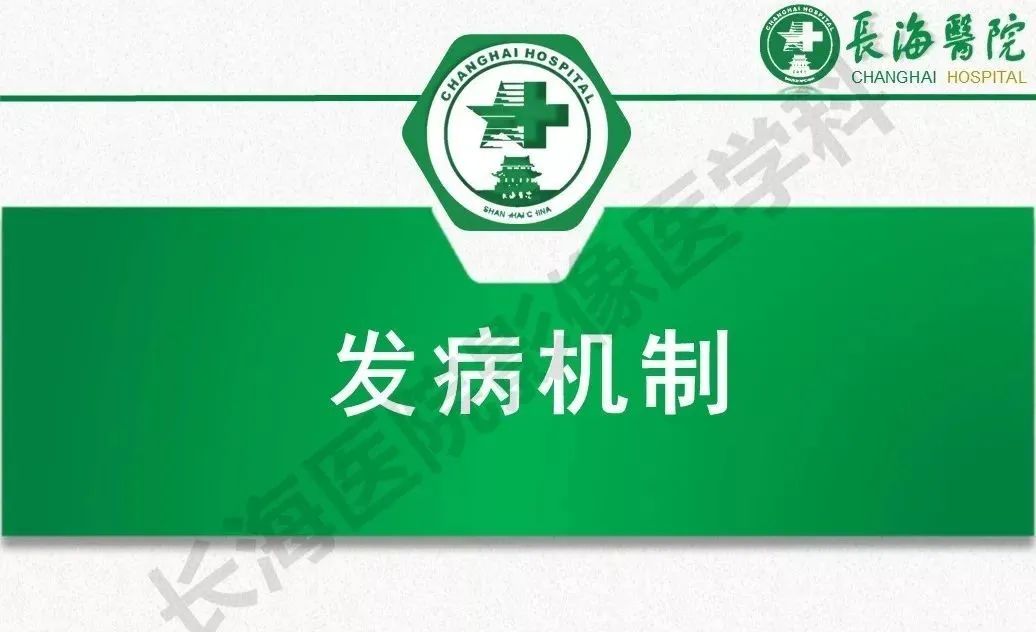 影像PPT - 【PPT】低颅压综合征-12