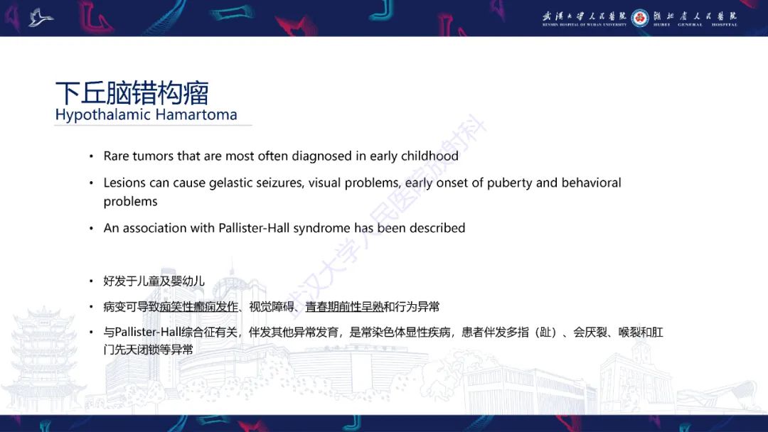 影像PPT - 【PPT】下丘脑错构瘤影像诊断-13