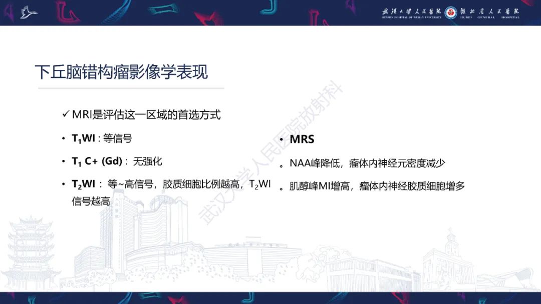 影像PPT - 【PPT】下丘脑错构瘤影像诊断-17