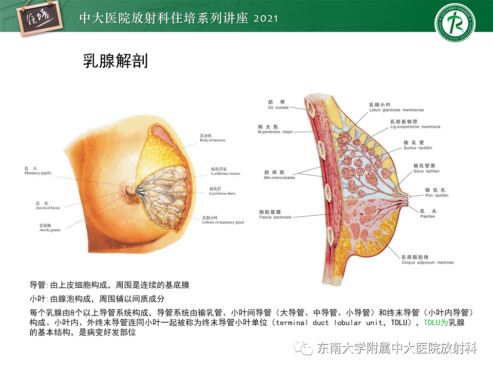影像PPT - 【PPT】DBT相较于FFDM对于不同X线表现类型乳腺病变的诊断价值-3