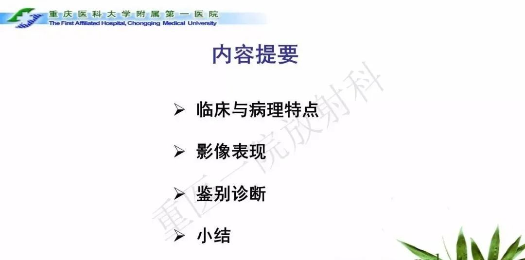 影像PPT - 【PPT】鞍下颅咽管瘤的诊断与鉴别诊断-2