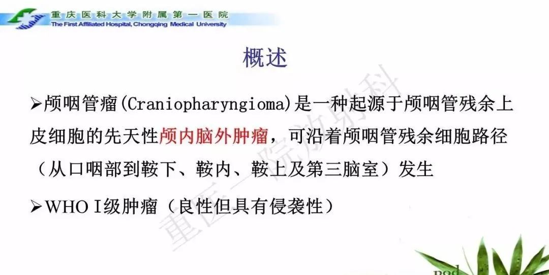 影像PPT - 【PPT】鞍下颅咽管瘤的诊断与鉴别诊断-3