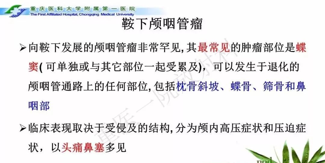 影像PPT - 【PPT】鞍下颅咽管瘤的诊断与鉴别诊断-5