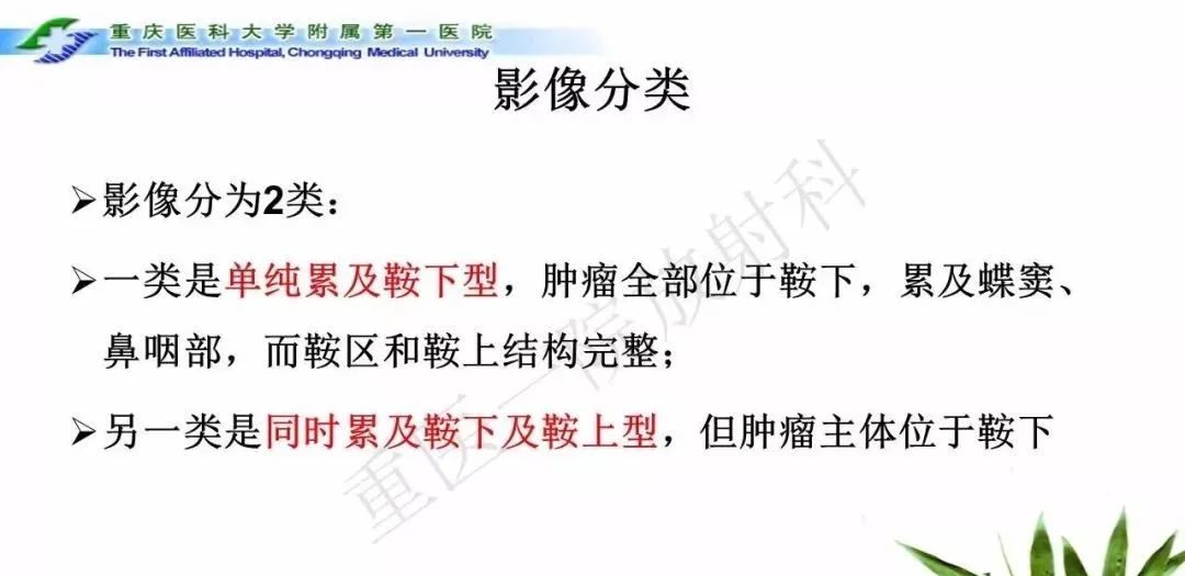 影像PPT - 【PPT】鞍下颅咽管瘤的诊断与鉴别诊断-8