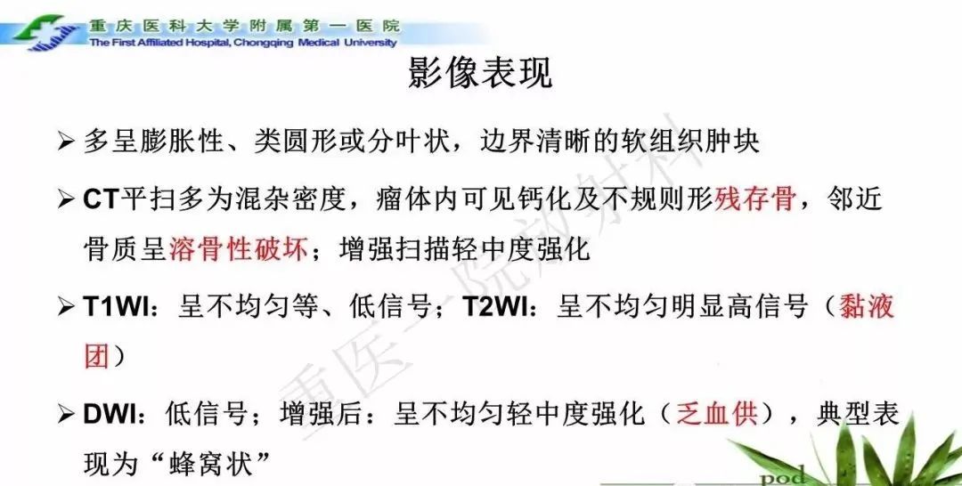 影像PPT - 【PPT】鞍下颅咽管瘤的诊断与鉴别诊断-22