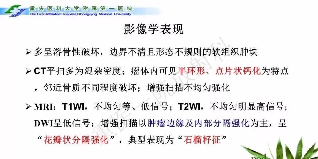 影像PPT - 【PPT】鞍下颅咽管瘤的诊断与鉴别诊断-27