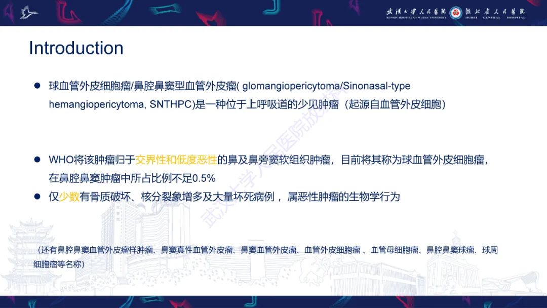 影像PPT - 【PPT】鼻腔鼻窦球血管外皮瘤影像诊断-7