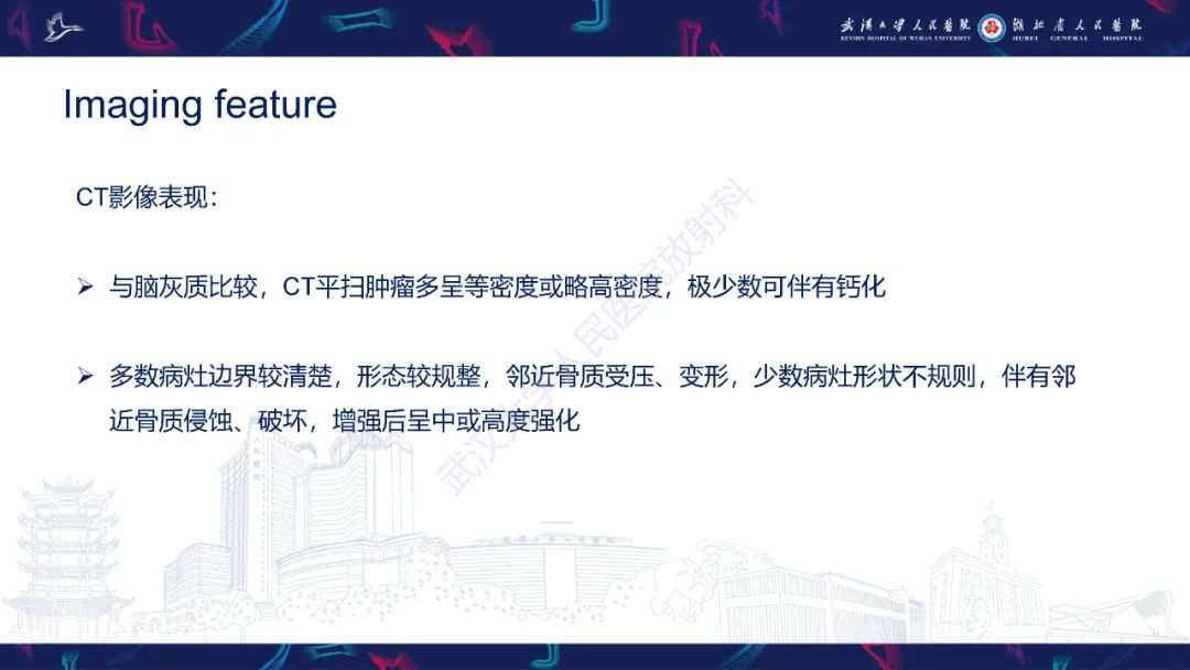 影像PPT - 【PPT】鼻腔鼻窦球血管外皮瘤影像诊断-9
