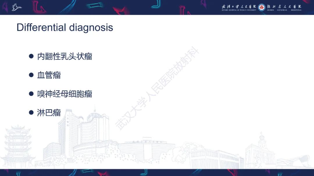 影像PPT - 【PPT】鼻腔鼻窦球血管外皮瘤影像诊断-18