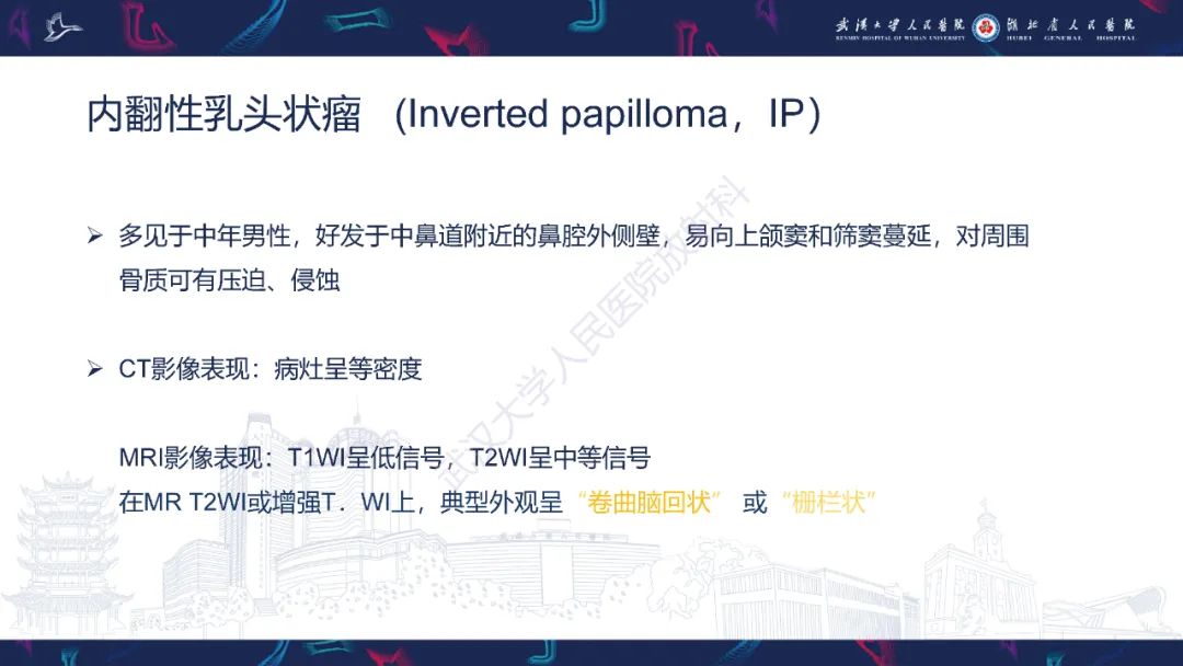 影像PPT - 【PPT】鼻腔鼻窦球血管外皮瘤影像诊断-19