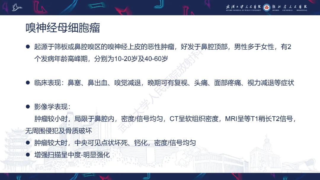 影像PPT - 【PPT】鼻腔鼻窦球血管外皮瘤影像诊断-24