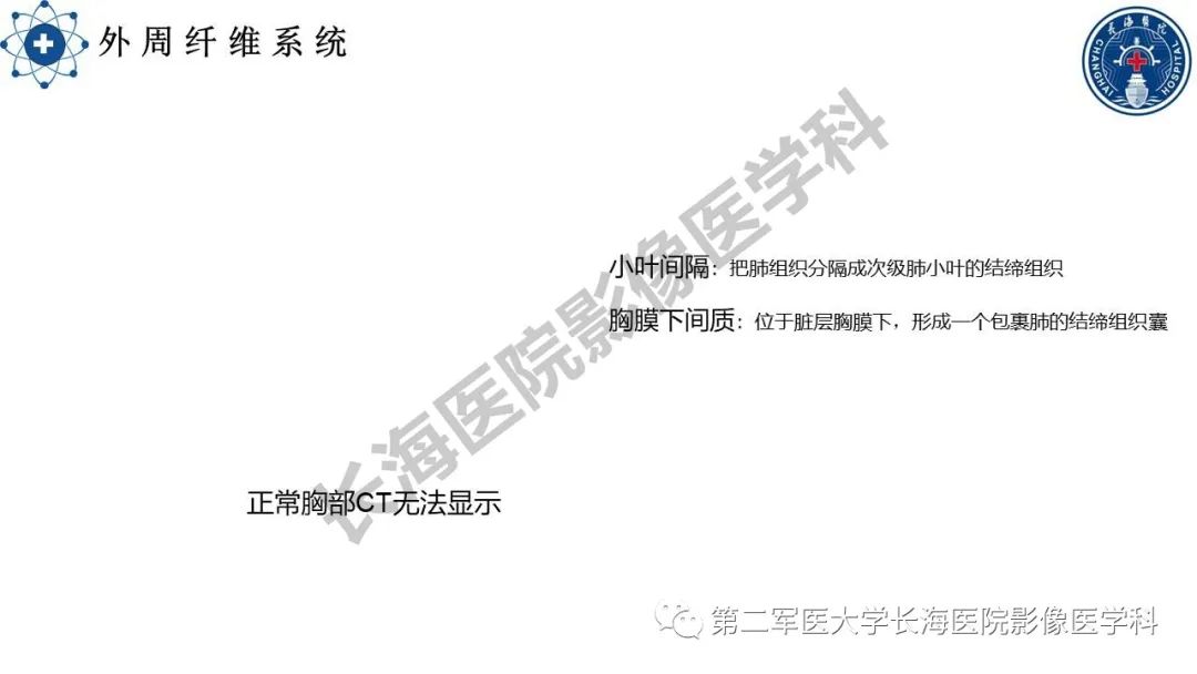 影像PPT - 【PPT】特发性肺纤维化的影像表现-10
