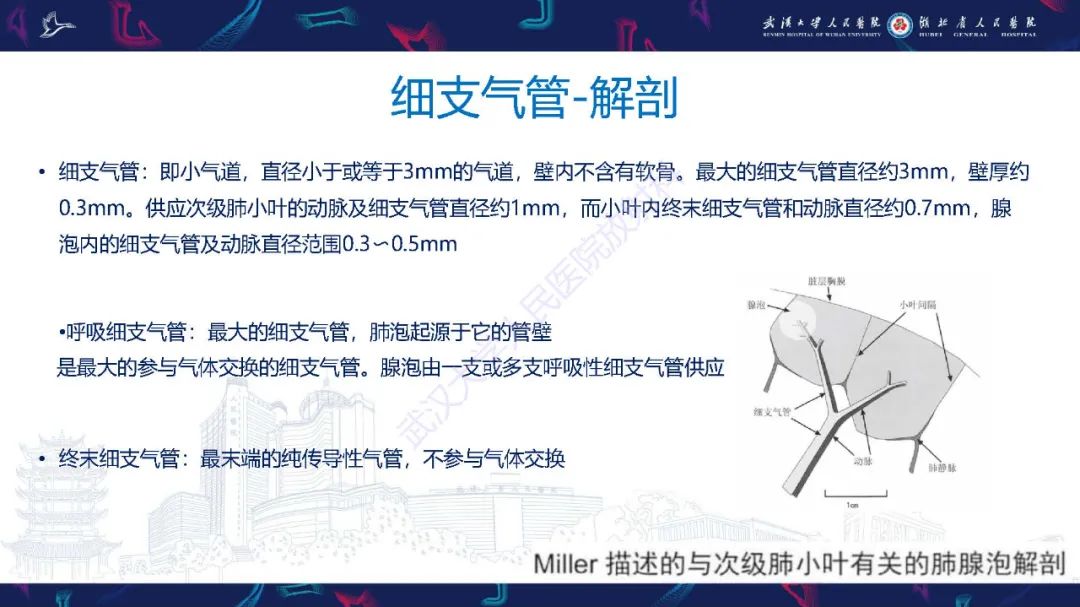 影像PPT - 【PPT】细支气管炎影像诊断-6