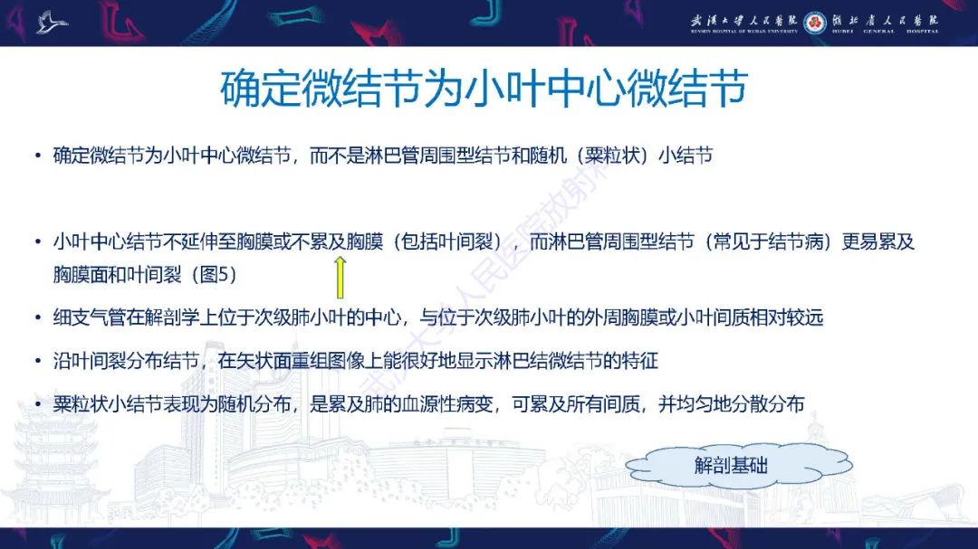 影像PPT - 【PPT】细支气管炎影像诊断-14