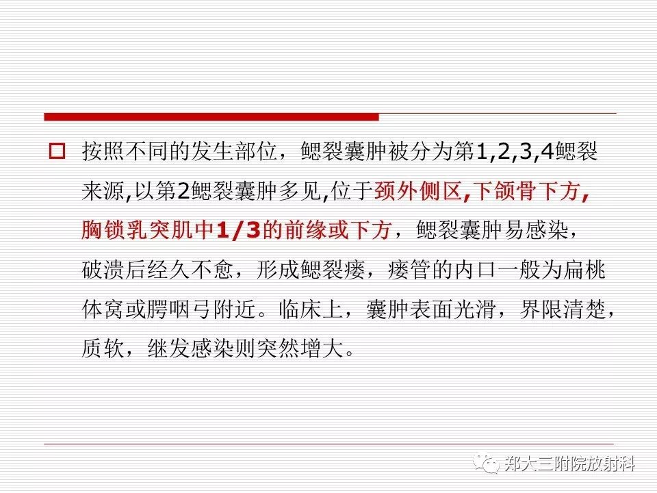 影像PPT - 【PPT】鳃裂囊肿的影像-2