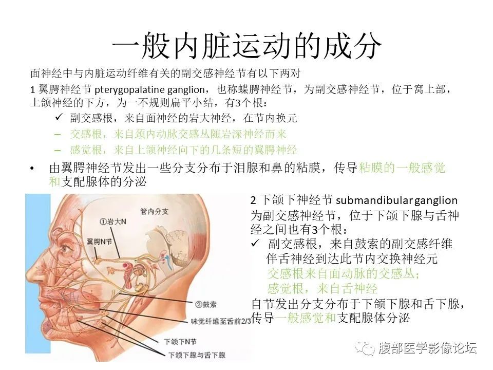影像PPT - 【PPT】颅骨颅底系列之面面俱到细微处（面神经）-12