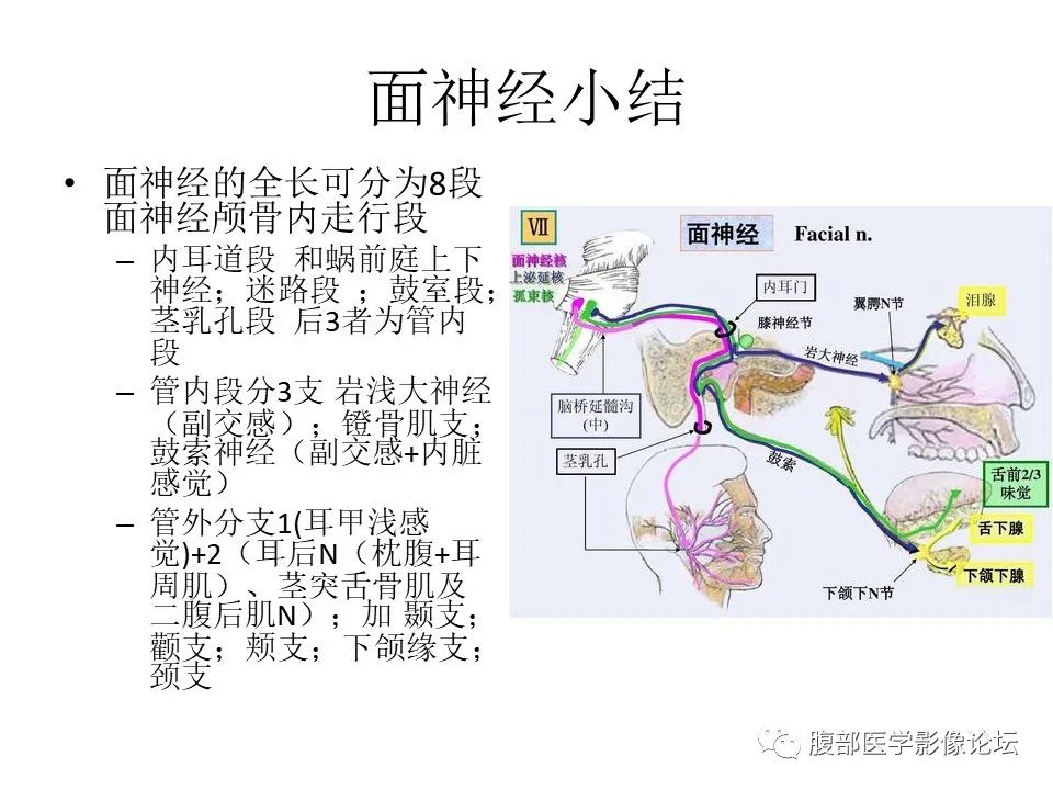 影像PPT - 【PPT】颅骨颅底系列之面面俱到细微处（面神经）-66
