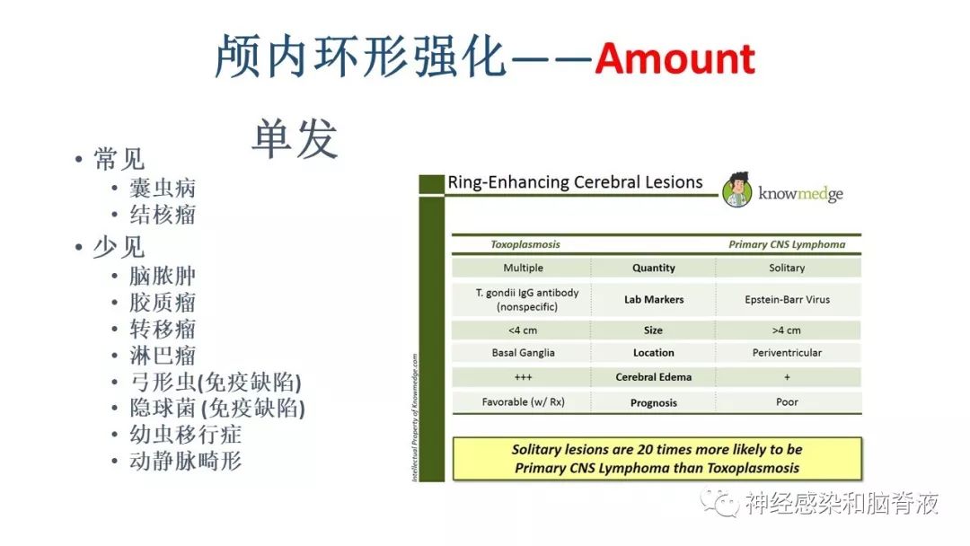 影像PPT - 【PPT】颅内环形强化：从原理到现象-23