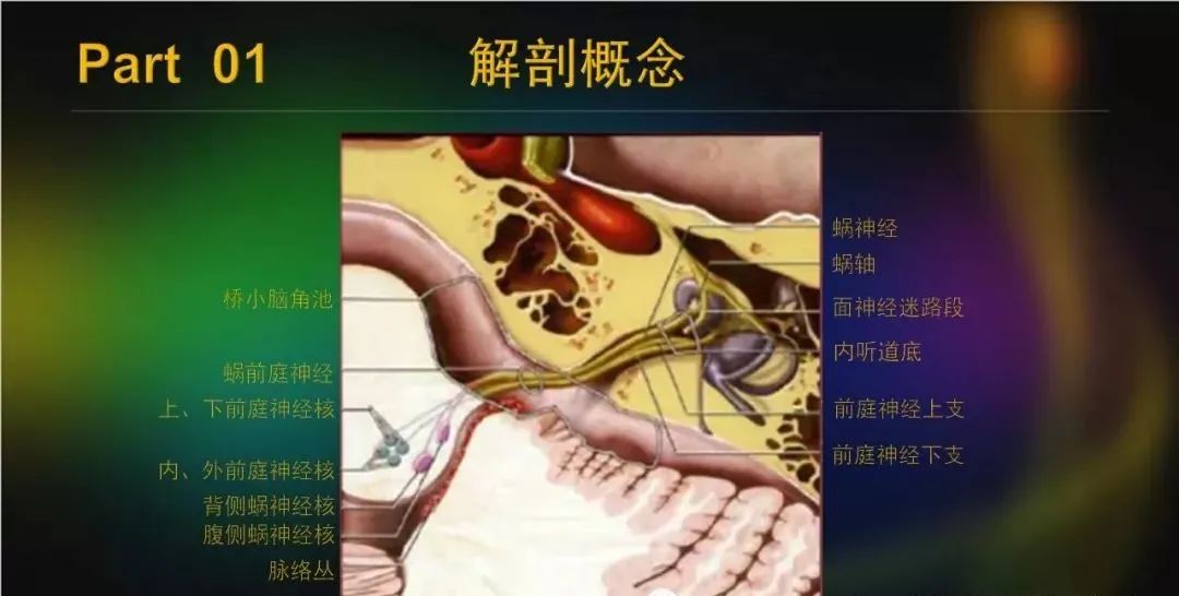 影像PPT - 【PPT】桥小脑角区占位性病变的MR诊断思路探讨-6