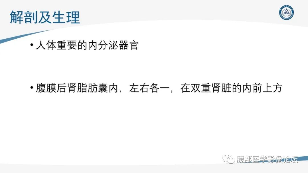影像PPT - 【PPT】放射科在肾上腺疾病临床诊治中的作用-3