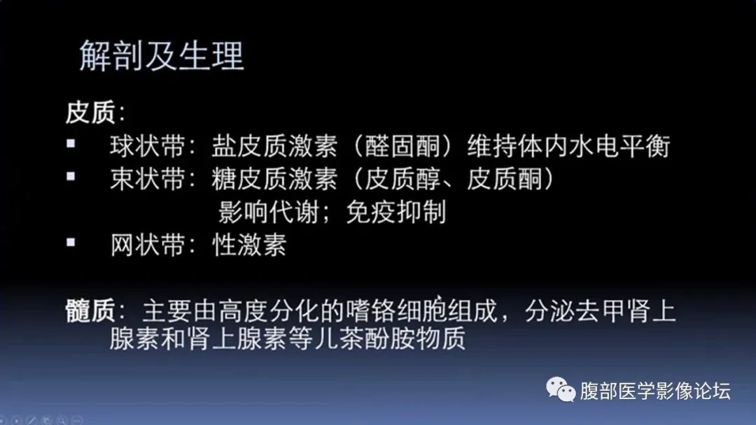 影像PPT - 【PPT】放射科在肾上腺疾病临床诊治中的作用-7