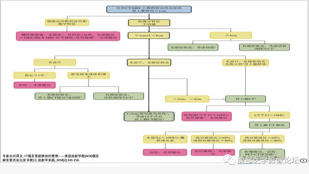 影像PPT - 【PPT】放射科在肾上腺疾病临床诊治中的作用-15