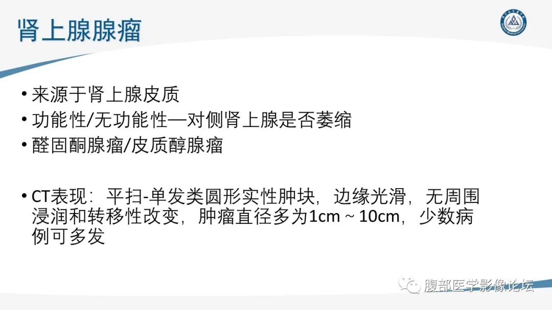 影像PPT - 【PPT】放射科在肾上腺疾病临床诊治中的作用-32