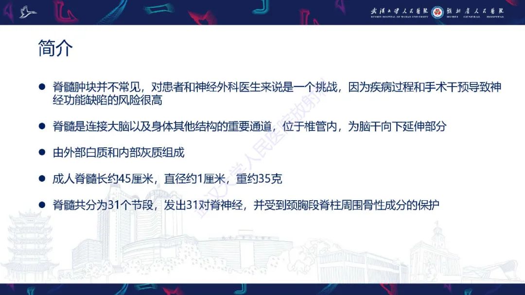 影像PPT - 【PPT】脊髓髓内占位影像诊断-2