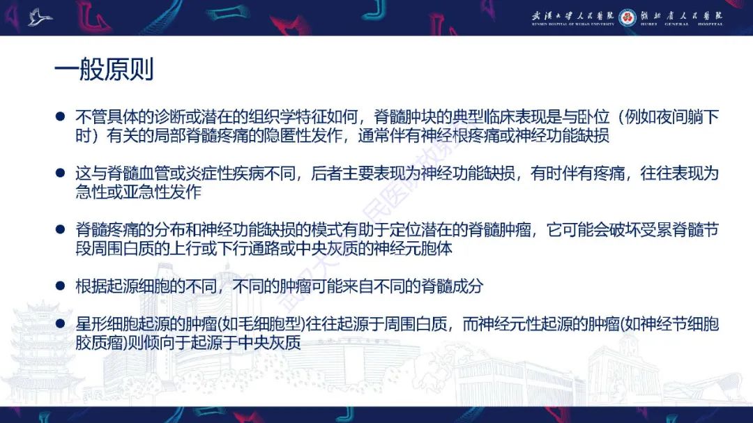 影像PPT - 【PPT】脊髓髓内占位影像诊断-3