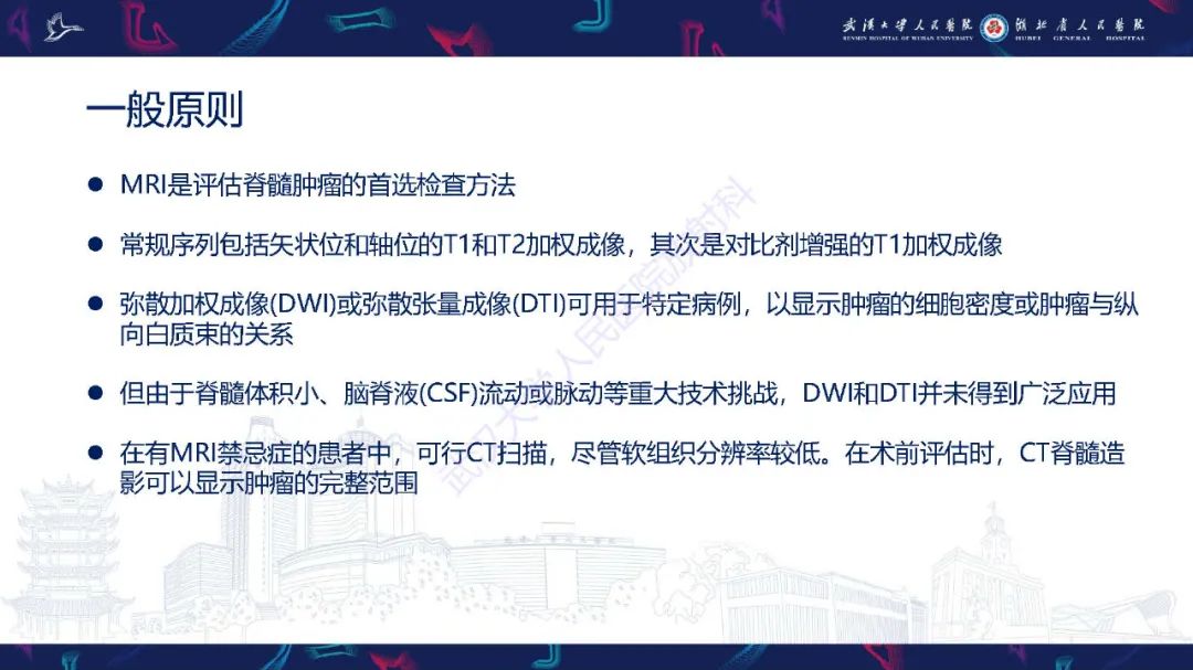 影像PPT - 【PPT】脊髓髓内占位影像诊断-4
