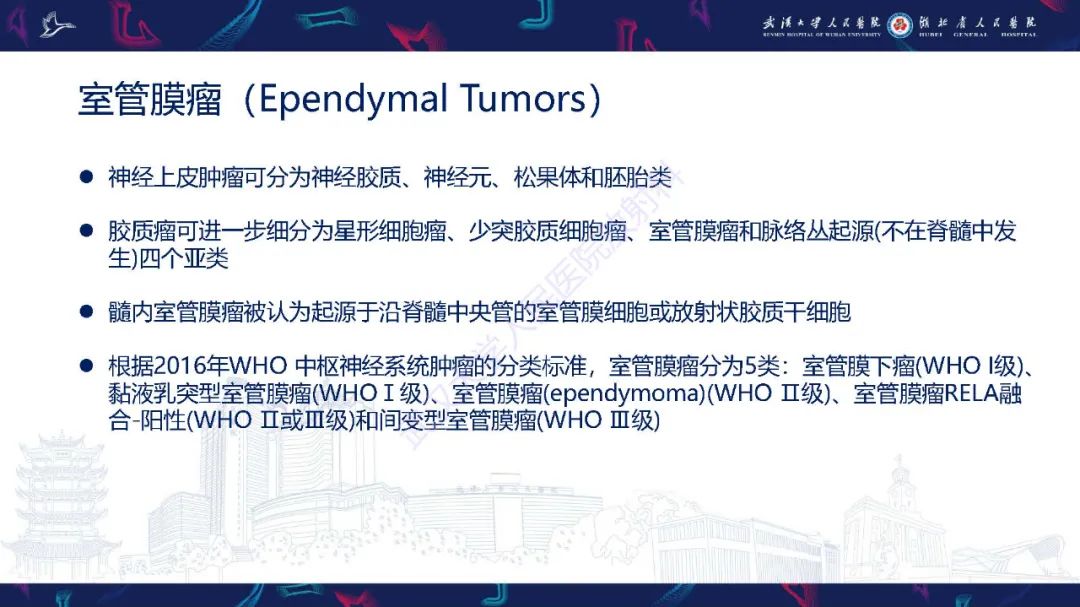 影像PPT - 【PPT】脊髓髓内占位影像诊断-7