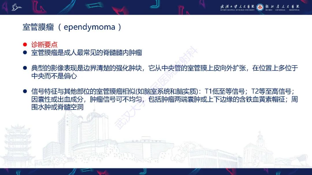 影像PPT - 【PPT】脊髓髓内占位影像诊断-8
