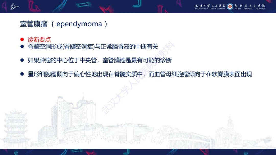 影像PPT - 【PPT】脊髓髓内占位影像诊断-9