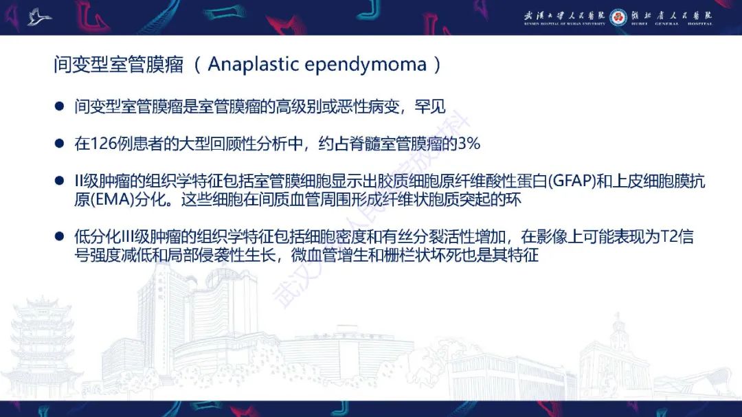 影像PPT - 【PPT】脊髓髓内占位影像诊断-11