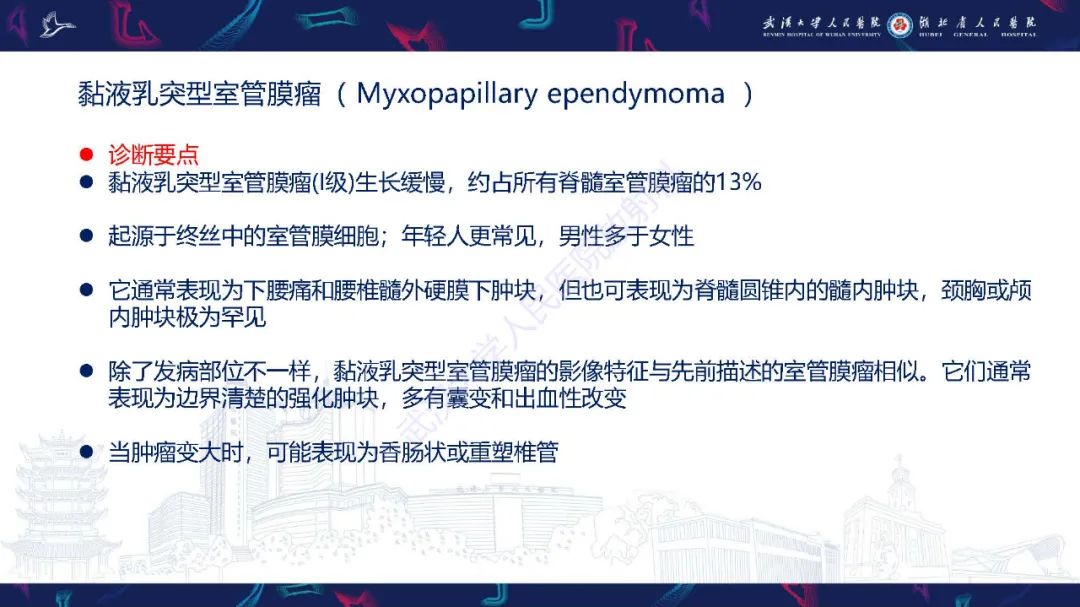 影像PPT - 【PPT】脊髓髓内占位影像诊断-15