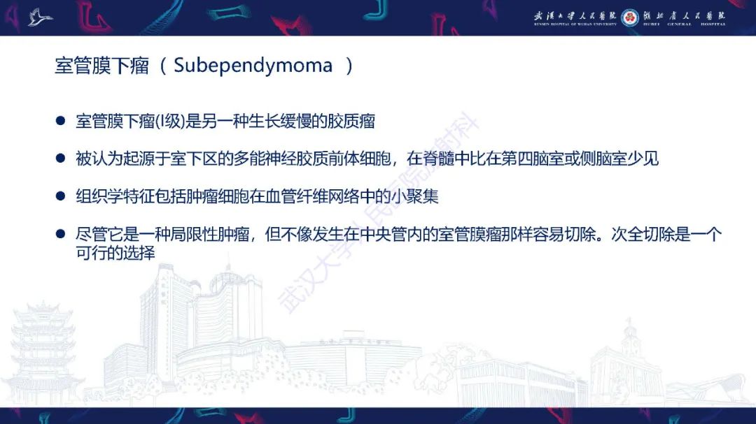 影像PPT - 【PPT】脊髓髓内占位影像诊断-17