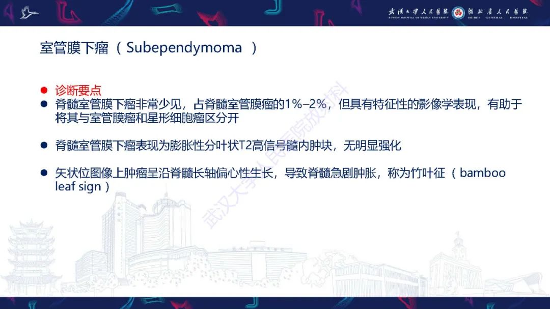 影像PPT - 【PPT】脊髓髓内占位影像诊断-18