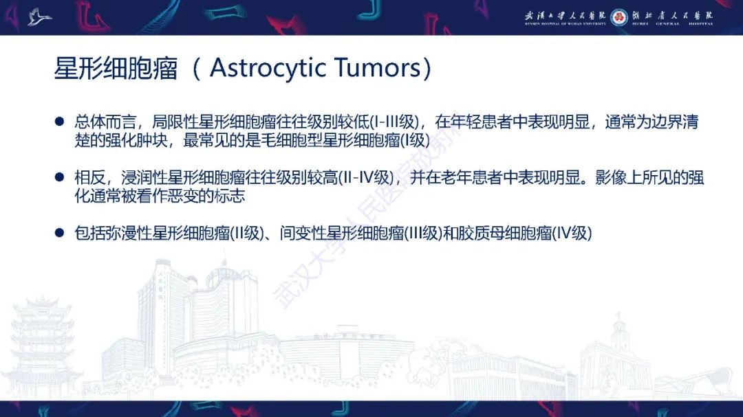 影像PPT - 【PPT】脊髓髓内占位影像诊断-20