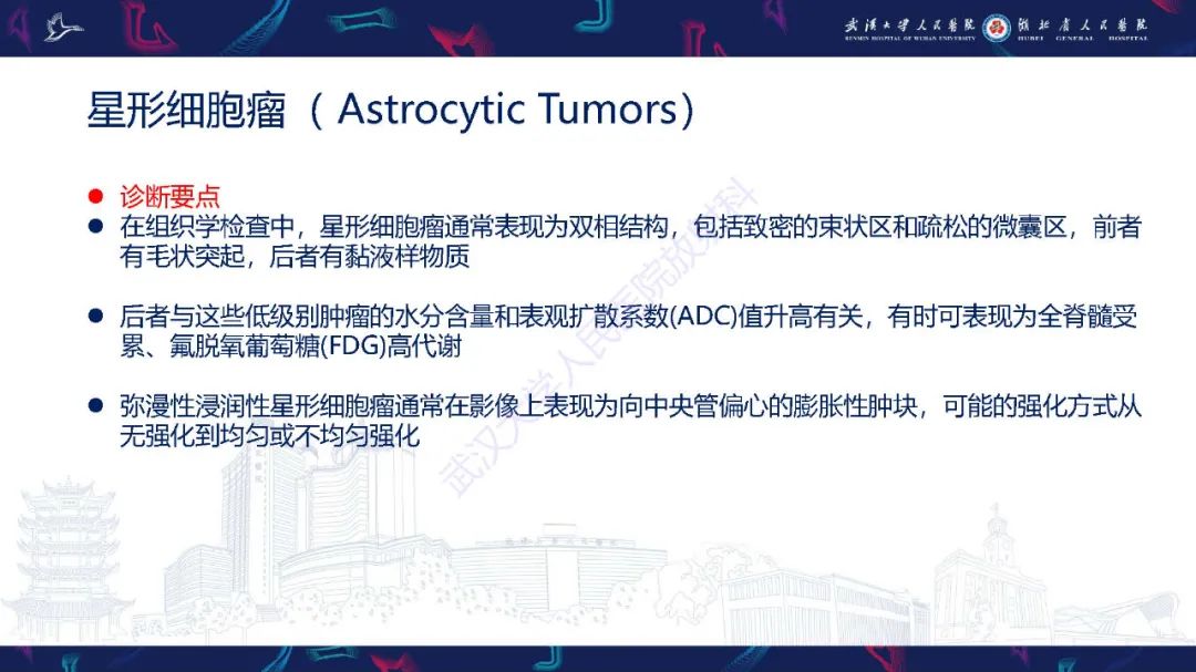 影像PPT - 【PPT】脊髓髓内占位影像诊断-22