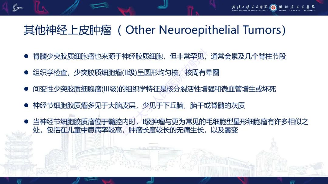 影像PPT - 【PPT】脊髓髓内占位影像诊断-24
