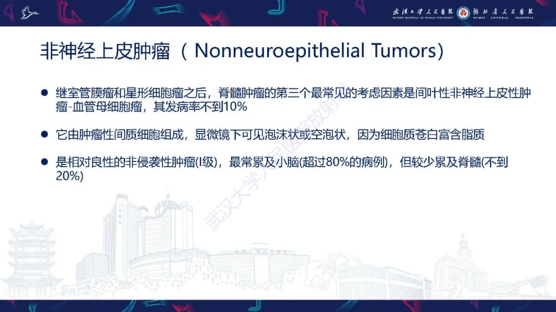 影像PPT - 【PPT】脊髓髓内占位影像诊断-26