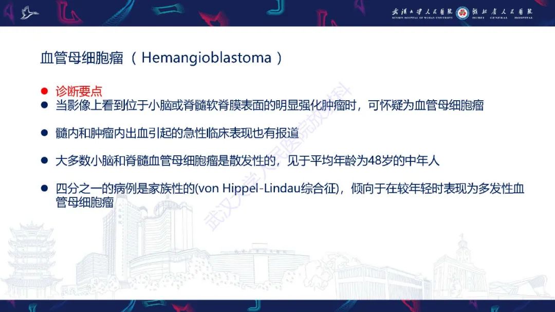 影像PPT - 【PPT】脊髓髓内占位影像诊断-27