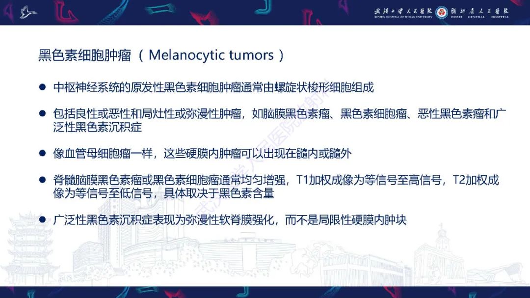 影像PPT - 【PPT】脊髓髓内占位影像诊断-31