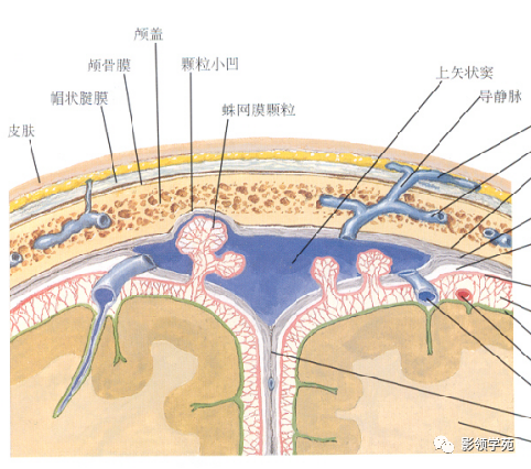 影像PPT - 新生儿颅脑MRI解剖及常见疾病影像表现-2 影像PPT - 新生儿颅脑MRI解剖及常见疾病影像表现-2