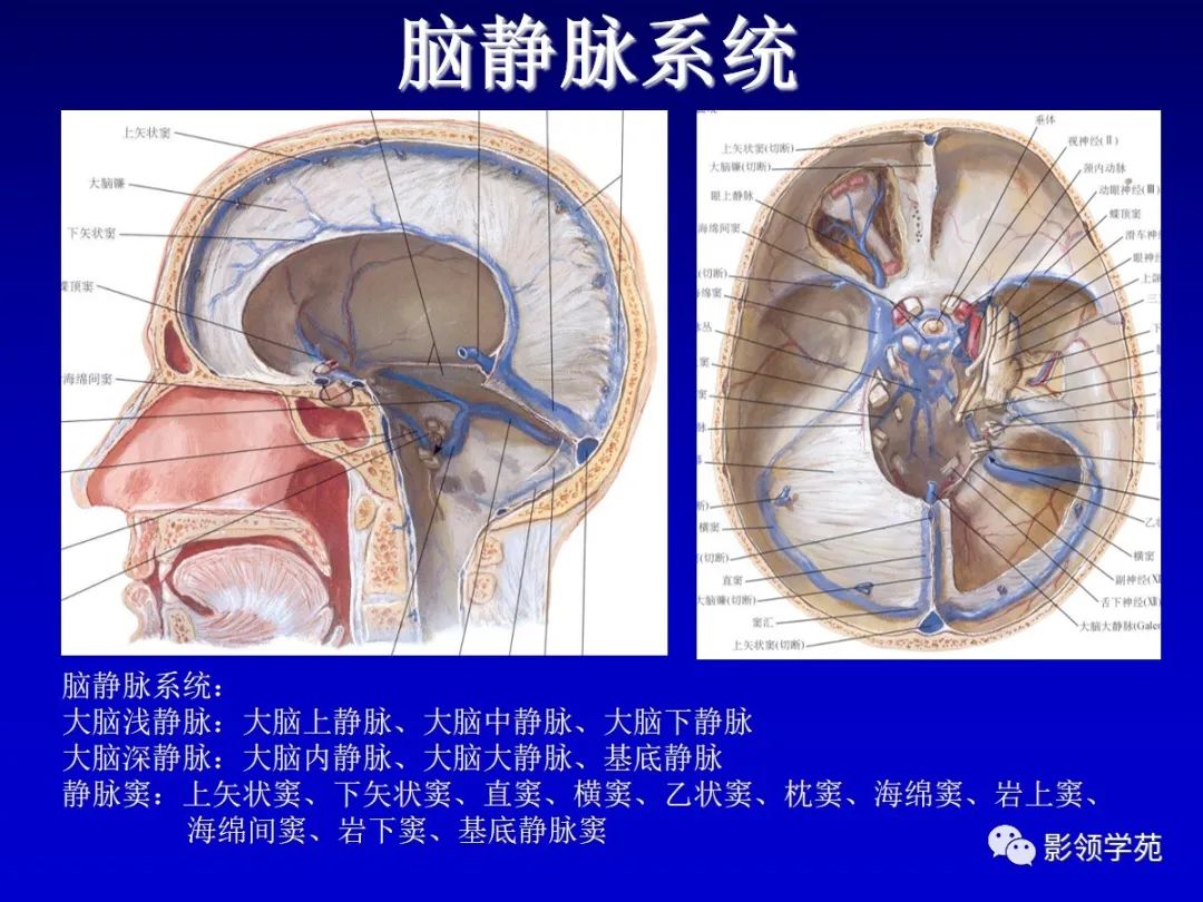 影像PPT - 新生儿颅脑MRI解剖及常见疾病影像表现-86 影像PPT - 新生儿颅脑MRI解剖及常见疾病影像表现-86