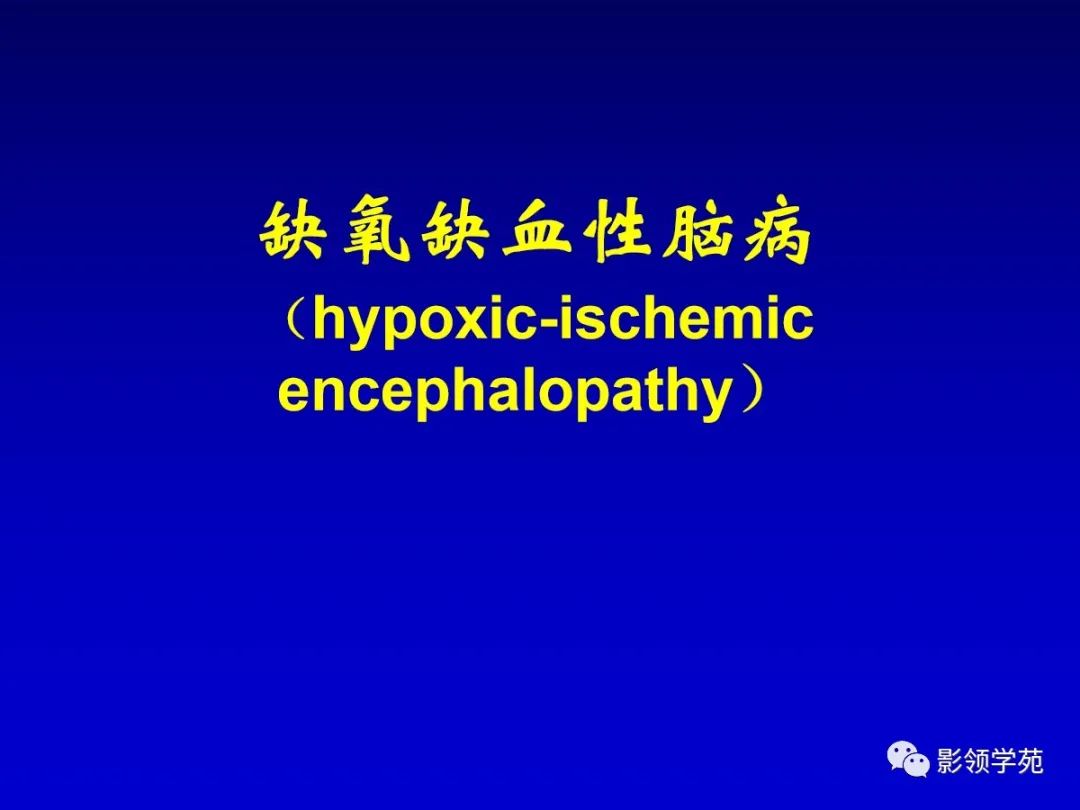 影像PPT - 新生儿颅脑MRI解剖及常见疾病影像表现-177 影像PPT - 新生儿颅脑MRI解剖及常见疾病影像表现-177