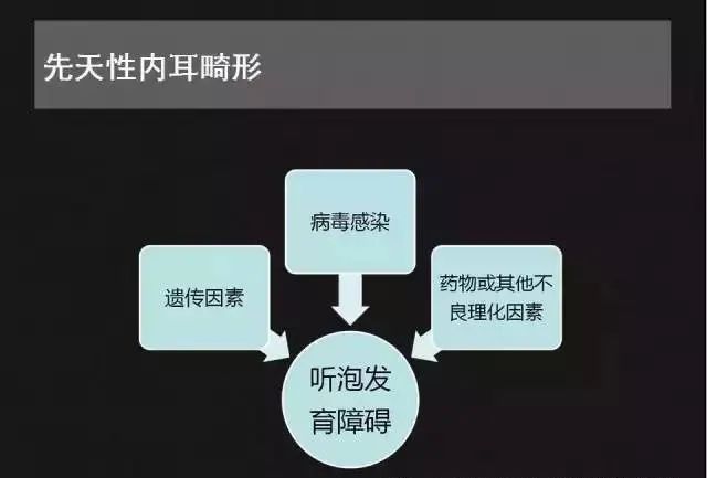 影像PPT - 【PPT】先天性内耳畸形影像学诊断-2