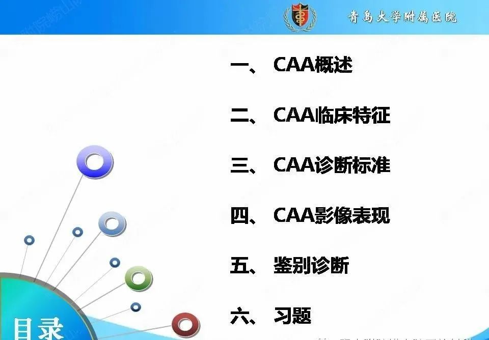 影像PPT - 【PPT】淀粉样脑血管病的影像诊断与鉴别诊断-4