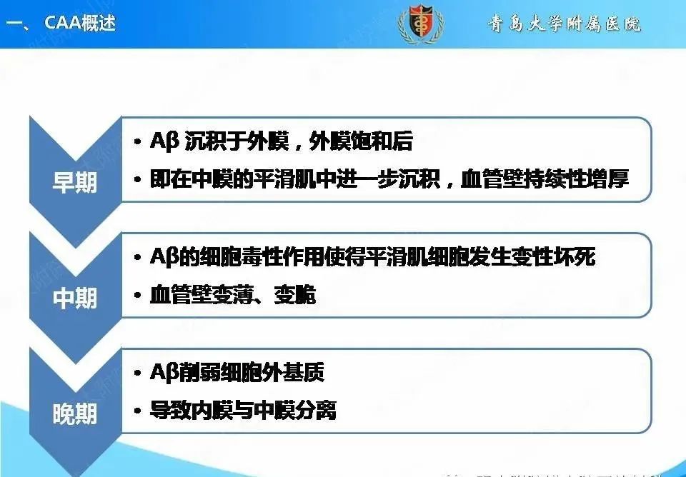 影像PPT - 【PPT】淀粉样脑血管病的影像诊断与鉴别诊断-9